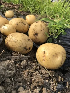 AI_channnnn Public  5টি ছবি