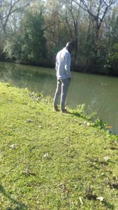 Fizozoo Public Pic 2