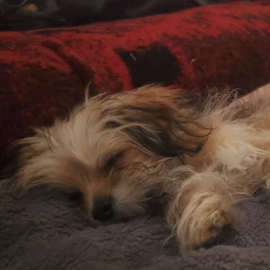 Photos taken by me de beardedfantasydaddy Foto 6