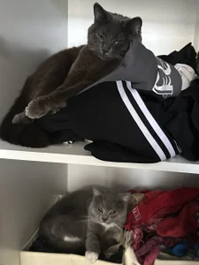 Public od ShadowEve  6 snímek