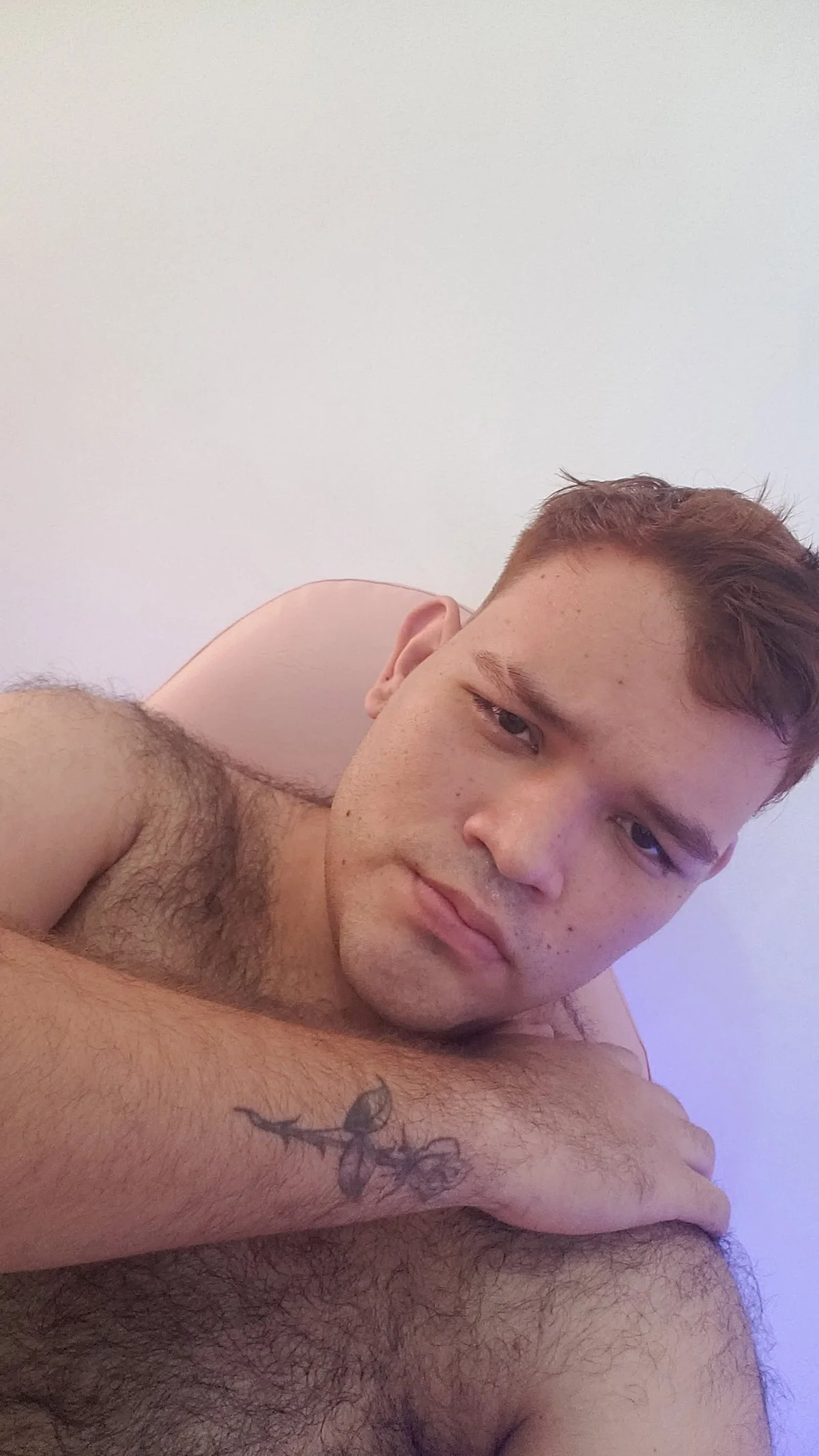 big_bearr Image populaire  9300