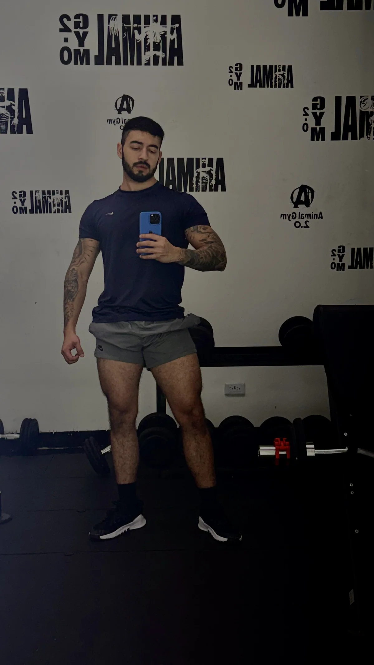 Трендове зображення  6102 MarkWalker__