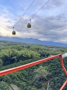 Ahri_Elderwood 🇨🇴Parque del café ☕️✨ Pic 7