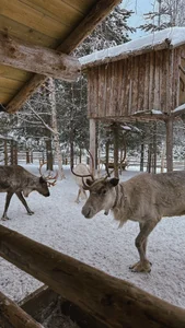 MaryMurray Winter fairytale ❄️ Foto 9