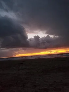 Flowers de faithfulchic  photos