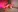 ChannelAngeles's photo