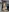 SweetMaddy888's photo