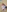 Mistresstryss's photo