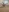 100 nude pics