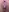 Cum (lube) Shots and Creampie
