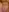 Hot