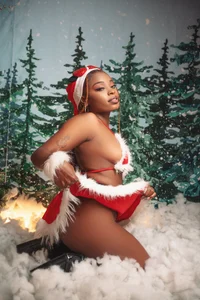 ShantalGomes: Mas de navidad ( 2 фото)