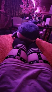 FoxIsPuff Public Εικόνα 3