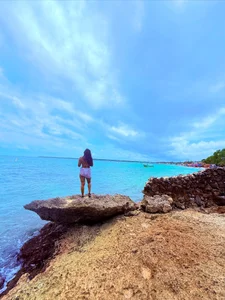 AlisonHoot69 ☀️🏝️👙🐚 зображення 5