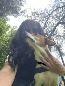 Ca-tmila Volunteer at an animal foundation🐶🐾 Bilde 4