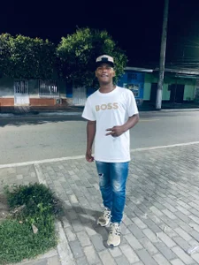 Public de pive1028  Imagens