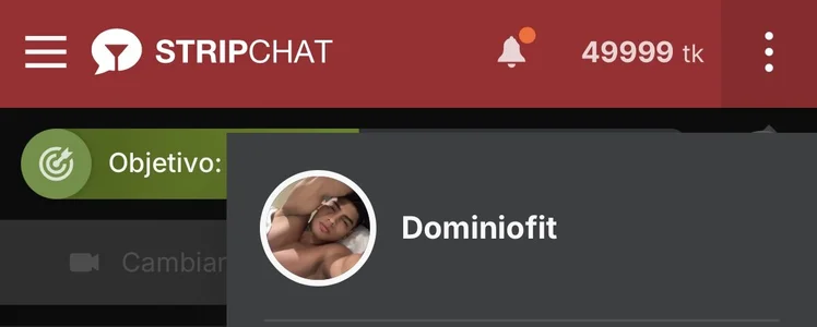 Dominiofit My king Pic