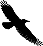 LOVE-SEX-DRUGS-38 S01 Poză 4