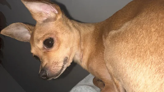 Wen_01 Coddy <3 Foto