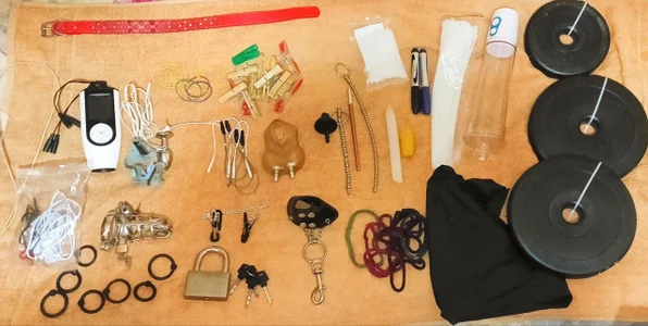 DenSMsl toy for slave Immagine 
