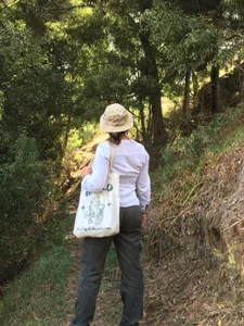 Soul_Catleya En la naturaleza Bilde 5