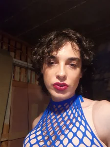 TransLexata Public Foto 2