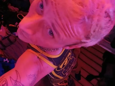 Meerr de tatemorganin Foto 6