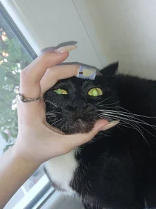 lilith_diva Lifestyle and Cat Margo🥰 Pic