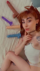 Wien_Lands Public Pic 9