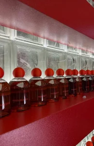 Mia_shy1 Let's get enlightened Pic 4