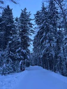 Phoenix_MargoのWinter's Taleの 7枚の写真