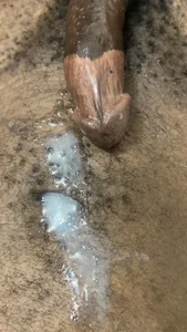 king_daddy_mo Public Pic 2