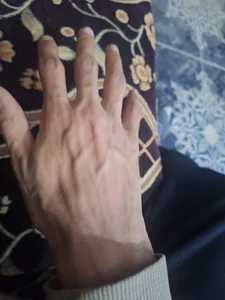 Seifo4 Public 사진 6