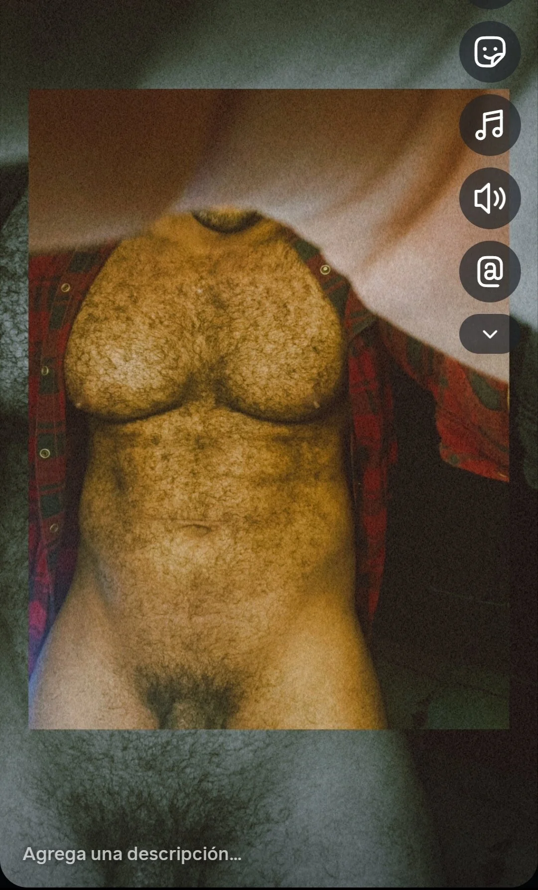 Ảnh Thịnh Hành của Big_furry_bear13 2761