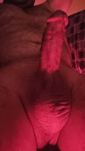 silenos35 palette Hình 2