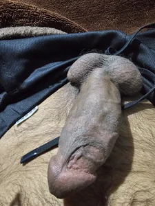 MuslimBrownDick kullanıcısının Public albümü -  6 fotoğraf
