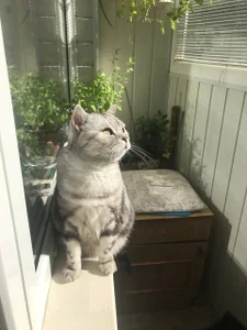 luna_berryy my little bun 😼 Pic 6