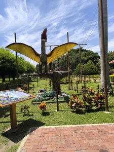 AlliciaKim trips  9টি ছবি