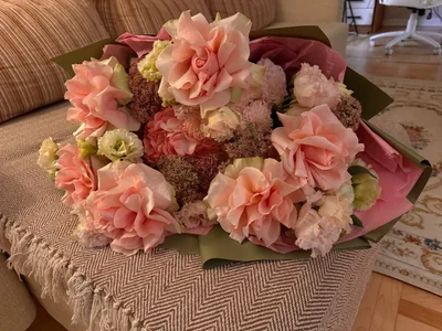 wowmollyのMy favorite kingsの 4枚の写真