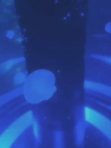 im_hina2 Public Pic 4