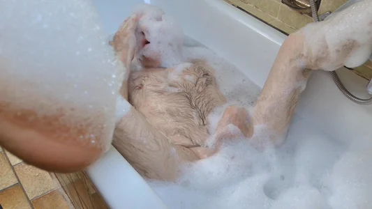 _dirtyy_daddyy_ Badewanne 사진 9