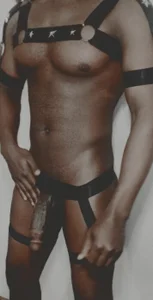 DR-ANIMAL Public รูป 