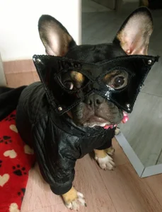 Halloween 2023 de luzcastillo07 Foto 2