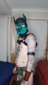 Castbotter1995 a puppy hood Kuva 2