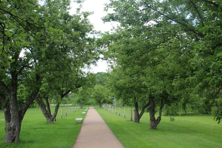 sexywildcat40 Milf in the Park :) Pic 9