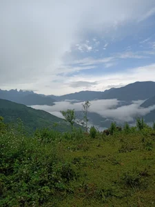 Sisi_dy01 Bình yên, giản dị tôi yêu cuộc sống này❤❤❤ Pic 4