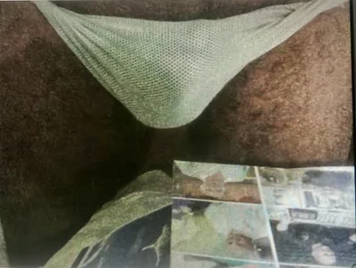 pito3pulgasdas Public Pic 3