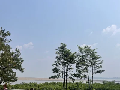 sharon_pretty12 amazonas টি ছবি