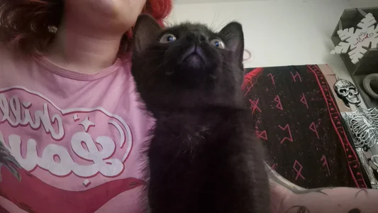 Zdjęcia Sarah-Stoner Smokey😻😻😻: 