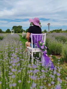 Lavandă💜💜 od MikyVesela  3 snímek